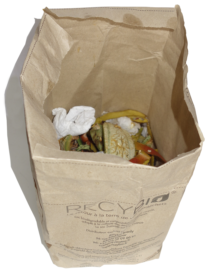Guide d'achat des sacs en plastique et des sacs biodégradables
